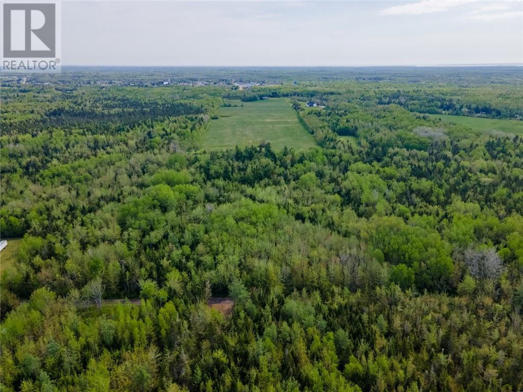 Lot 21-06 Haut Saint-Antoine Road, Saint-Antoine, New Brunswick  E4V 3B3 - Photo 8 - M159810