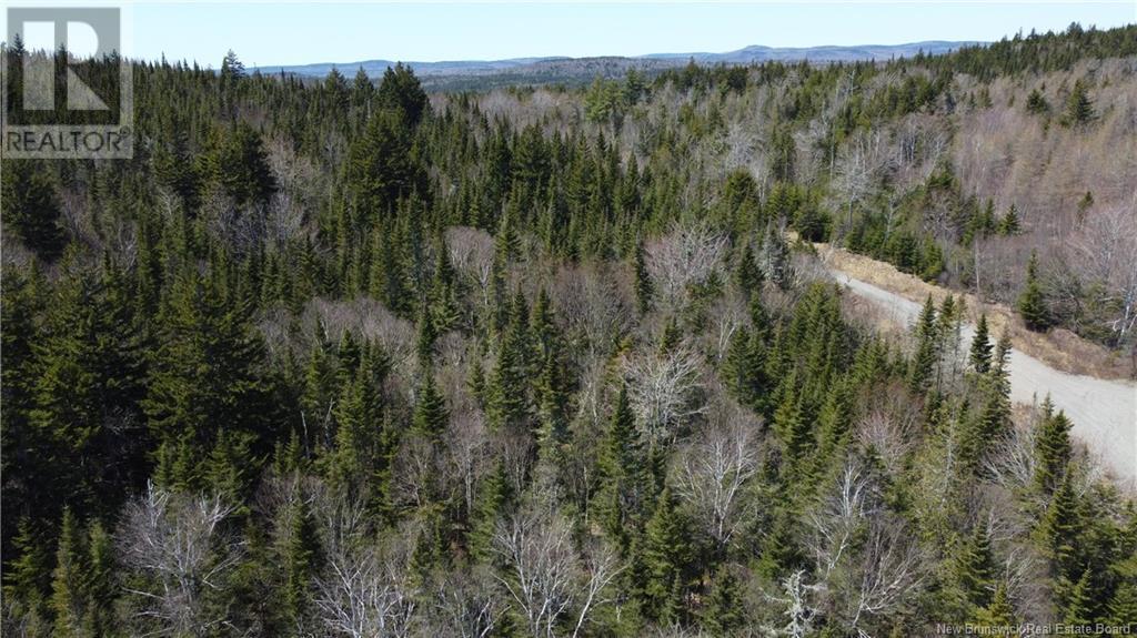 - Highland Road, Grand Bay-Westfield, New Brunswick  E5K 1K1 - Photo 3 - NB101540