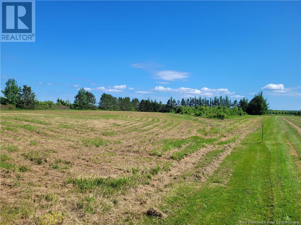 3367 Rte 180, South Tetagouche, New Brunswick  E2A 7C3 - Photo 1 - NB101546