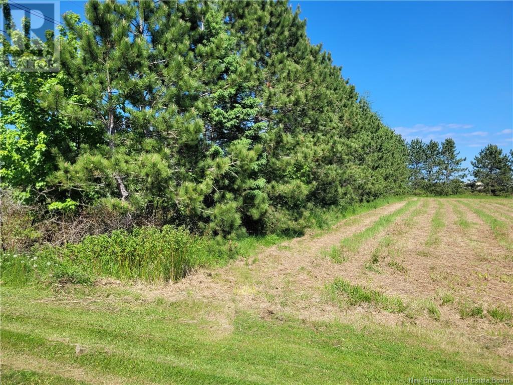 3367 Rte 180, South Tetagouche, New Brunswick  E2A 7C3 - Photo 2 - NB101546