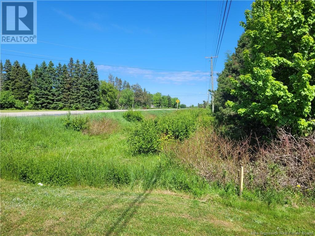 3367 Rte 180, South Tetagouche, New Brunswick  E2A 7C3 - Photo 3 - NB101546