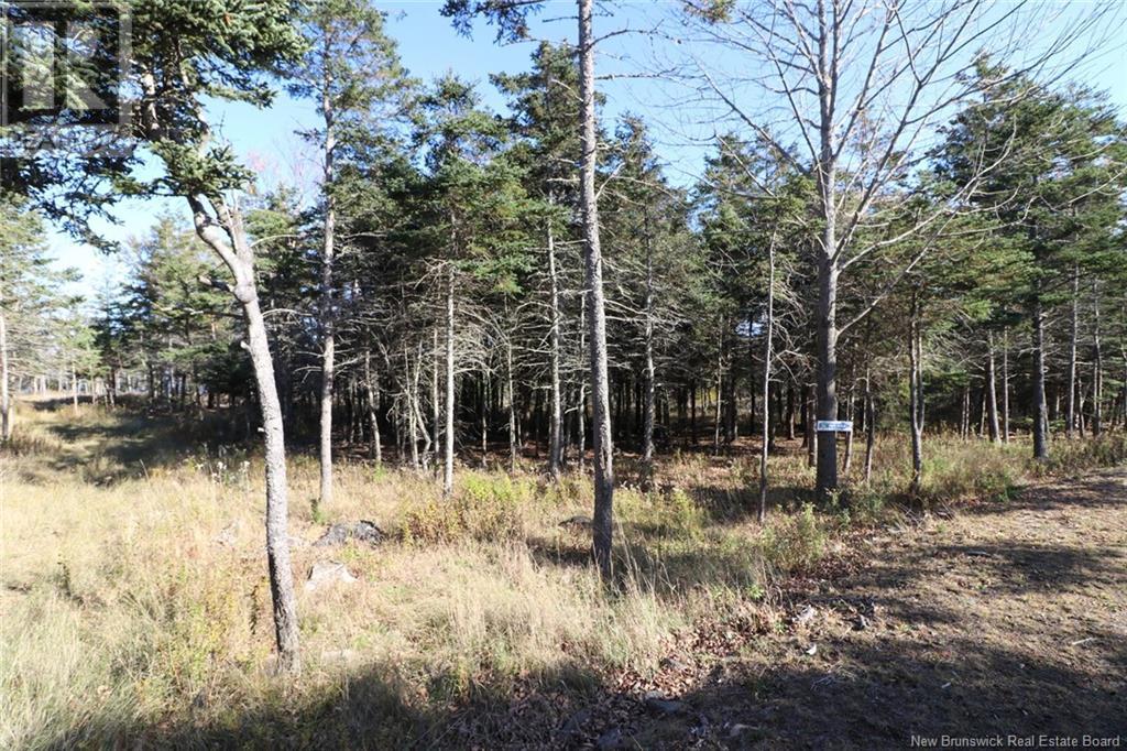 Lot 10-05 Golden Mile Drive, Grand Manan, New Brunswick  E5G 1N1 - Photo 14 - NB101561