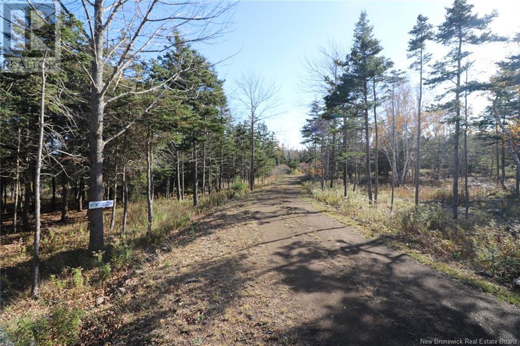 Lot 10-05 Golden Mile Drive, Grand Manan, New Brunswick  E5G 1N1 - Photo 15 - NB101561