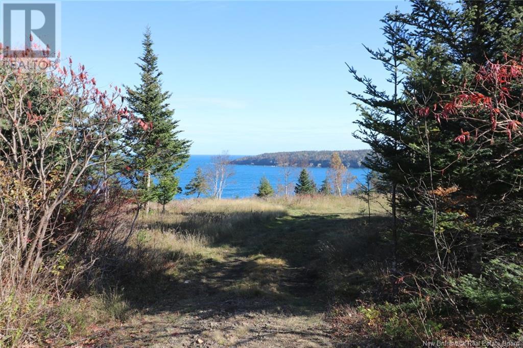 Lot 10-05 Golden Mile Drive, Grand Manan, New Brunswick  E5G 1N1 - Photo 18 - NB101561