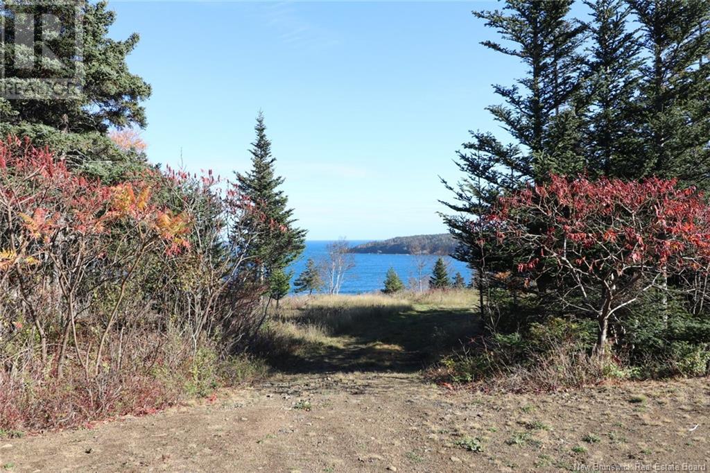 Lot 10-05 Golden Mile Drive, Grand Manan, New Brunswick  E5G 1N1 - Photo 19 - NB101561