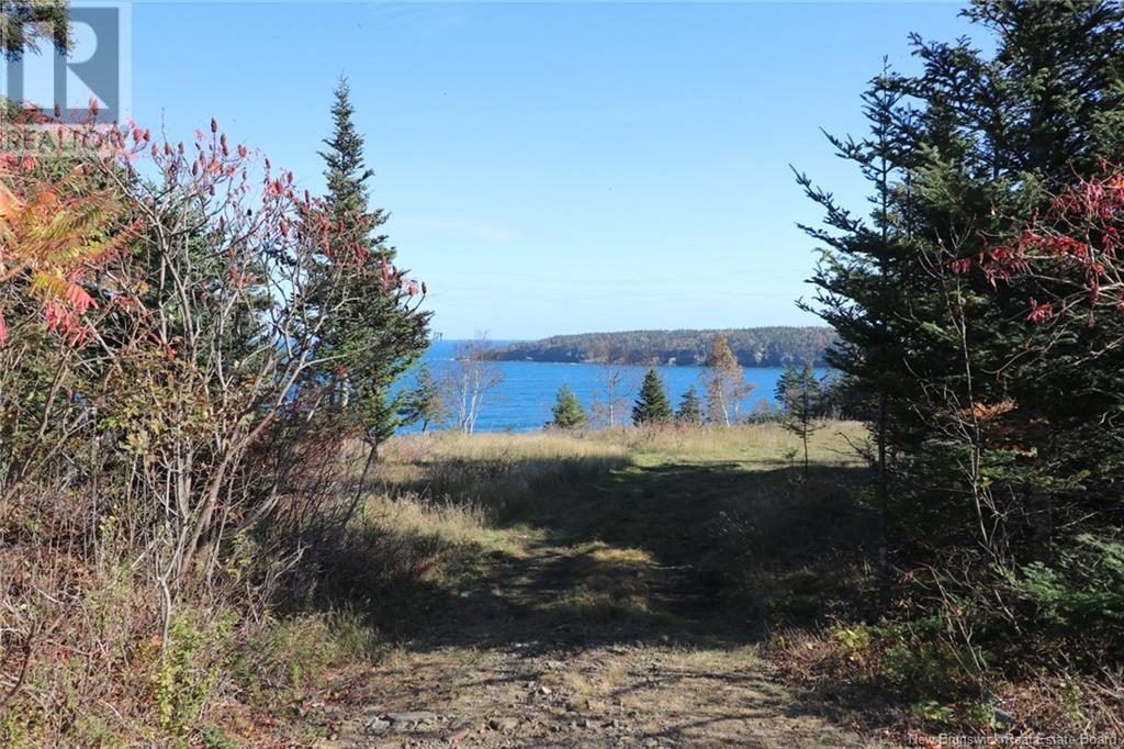 Lot 10-05 Golden Mile Drive, Grand Manan, New Brunswick  E5G 1N1 - Photo 20 - NB101561