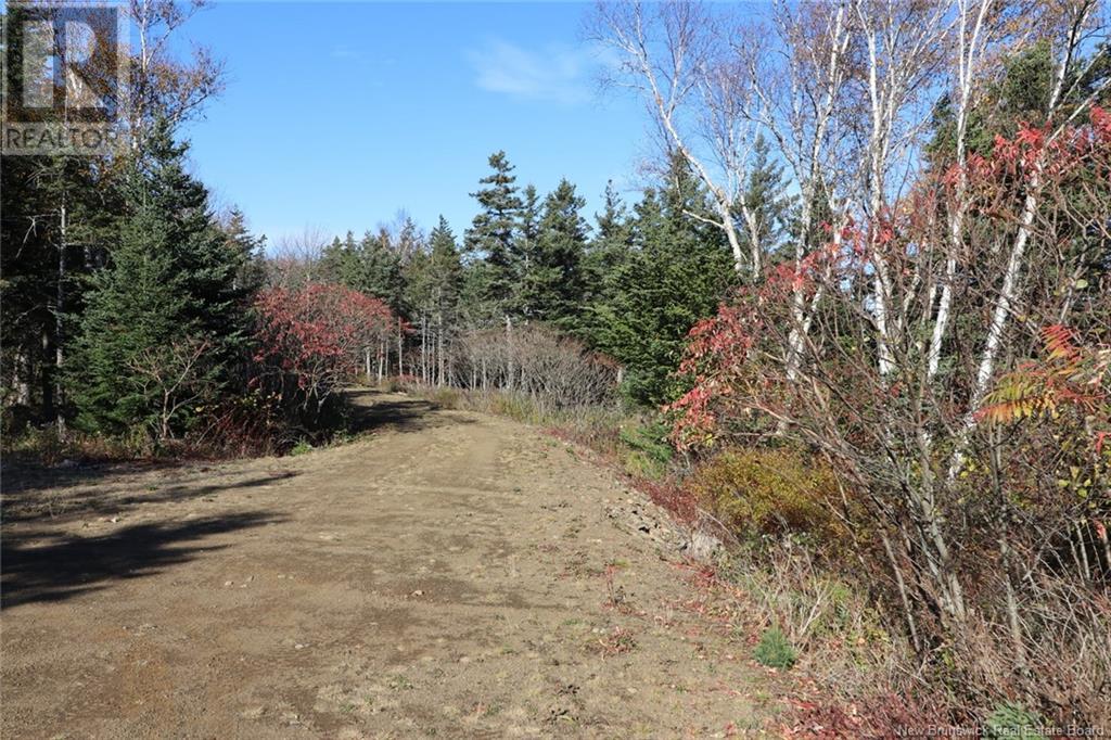 Lot 10-05 Golden Mile Drive, Grand Manan, New Brunswick  E5G 1N1 - Photo 22 - NB101561