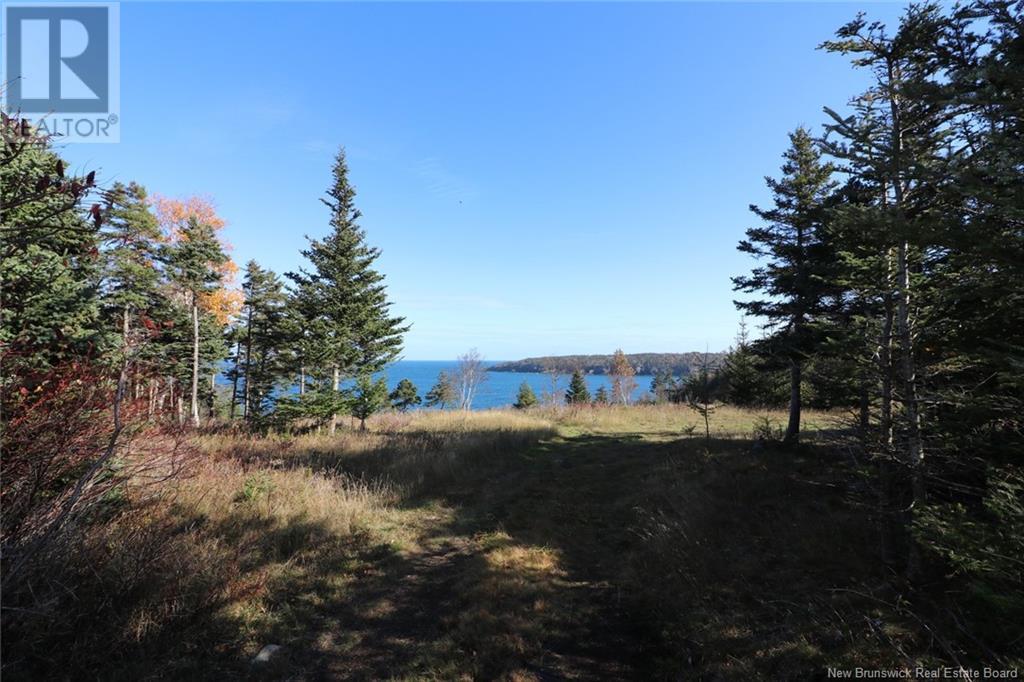 Lot 10-05 Golden Mile Drive, Grand Manan, New Brunswick  E5G 1N1 - Photo 23 - NB101561