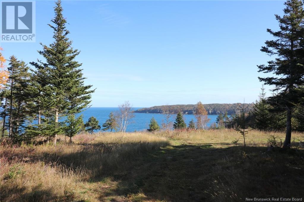 Lot 10-05 Golden Mile Drive, Grand Manan, New Brunswick  E5G 1N1 - Photo 24 - NB101561