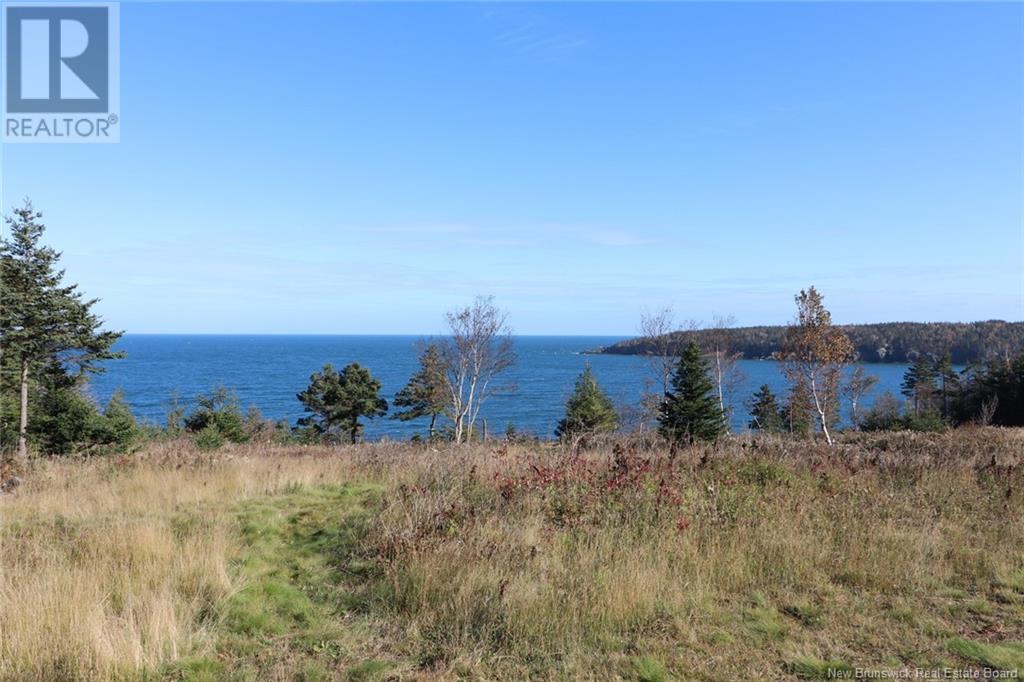 Lot 10-05 Golden Mile Drive, Grand Manan, New Brunswick  E5G 1N1 - Photo 25 - NB101561