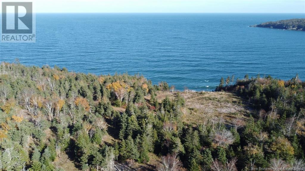 Lot 10-05 Golden Mile Drive, Grand Manan, New Brunswick  E5G 1N1 - Photo 5 - NB101561