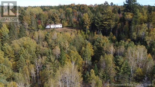 895 Route 148, Taymouth, New Brunswick  E6C 2B5 - Photo 3 - NB101611