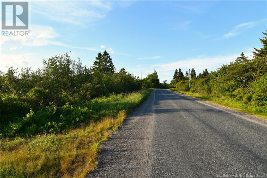 - Narrows Road, Welshpool, New Brunswick  E5E 1B4 - Photo 11 - NB101578