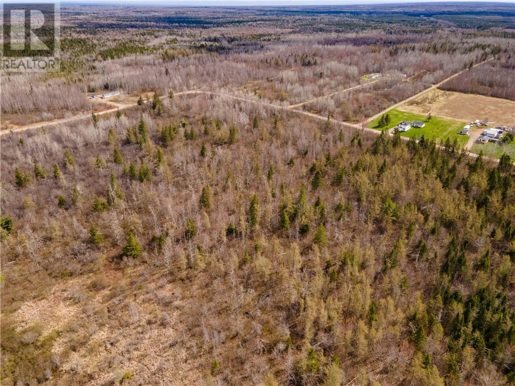 Lot 23-2 Scoudouc River Road, Scoudouc, New Brunswick  E4P 3T1 - Photo 12 - M160093