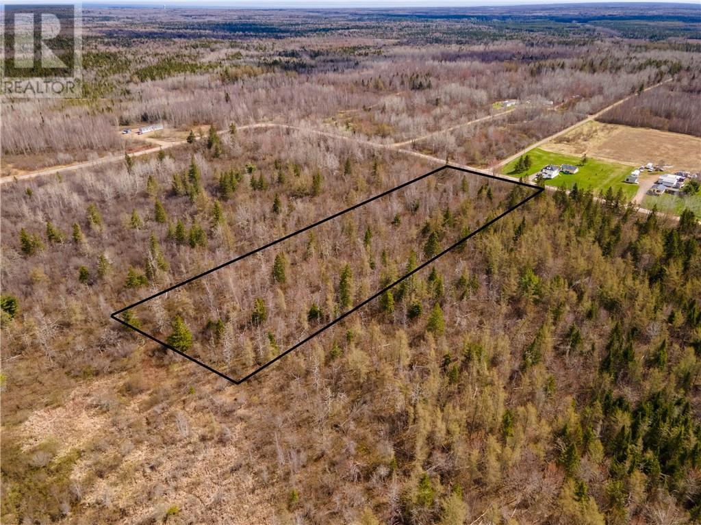 Lot 23-2 Scoudouc River Road, Scoudouc, New Brunswick  E4P 3T1 - Photo 13 - M160093