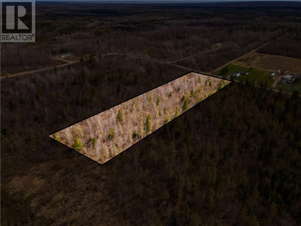 Lot 23-2 Scoudouc River Road, Scoudouc, New Brunswick  E4P 3T1 - Photo 14 - M160093