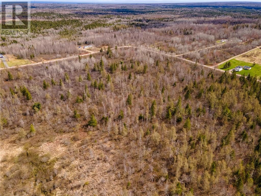 Lot 23-2 Scoudouc River Road, Scoudouc, New Brunswick  E4P 3T1 - Photo 16 - M160093