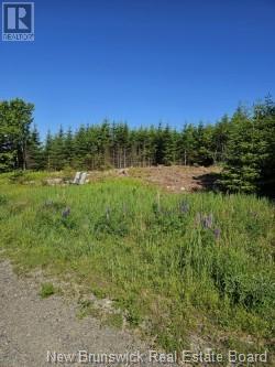 - Dolly Drive, Saint John, New Brunswick  E2J 3E9 - Photo 3 - NB101797