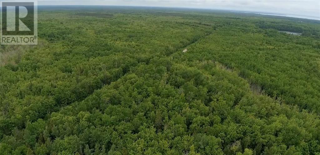 559 Bay Du Vin River, Bay Du Vin, New Brunswick  E1N 5M3 - Photo 6 - M160189