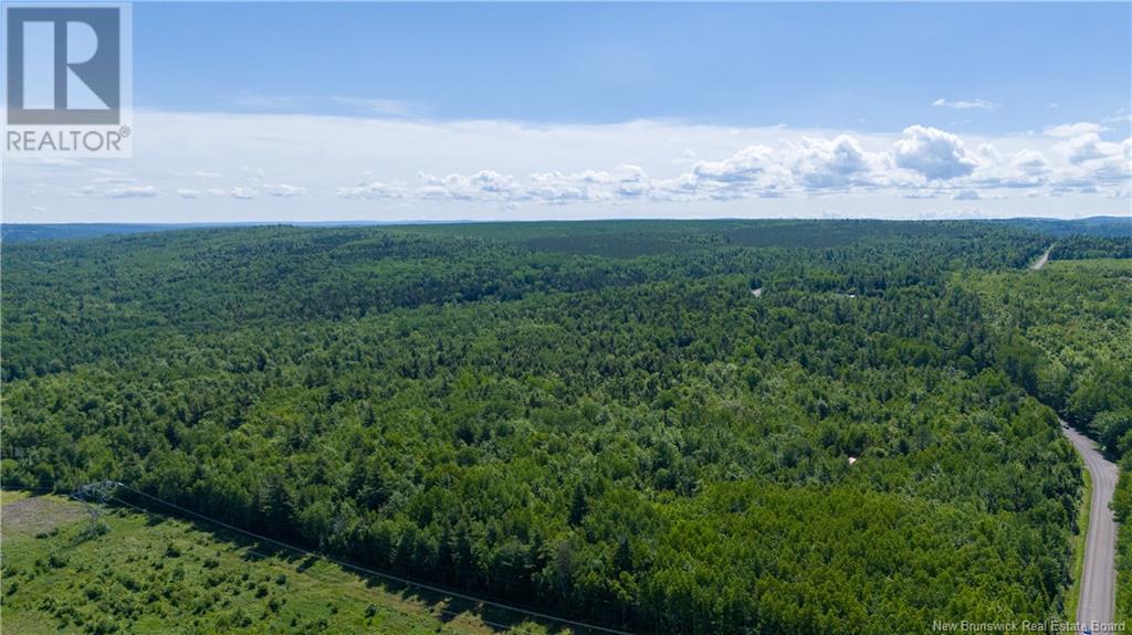 Lot 2 Route 895, Anagance, New Brunswick  E4Z 1E1 - Photo 20 - M160208