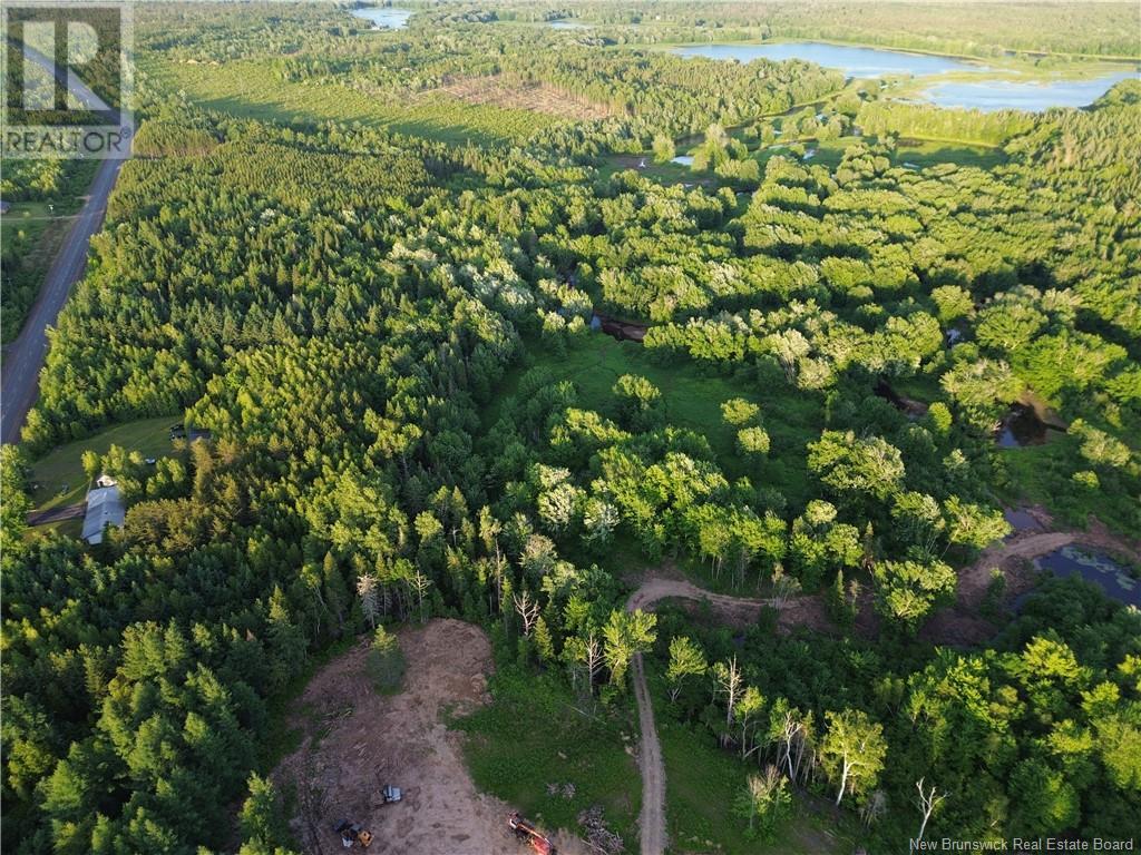 / Route 116, Briggs Corner, New Brunswick  O0O 0O0 - Photo 2 - NB101905