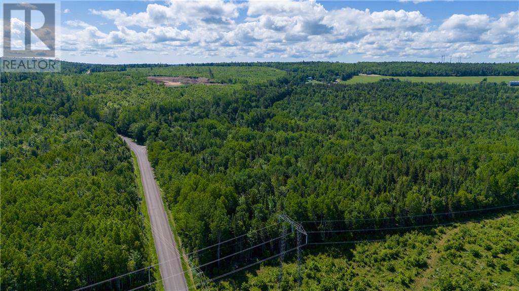 Lot 4 Route 895, Anagance, New Brunswick  E4Z 1E1 - Photo 11 - M160210