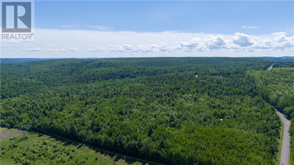 Lot 4 Route 895, Anagance, New Brunswick  E4Z 1E1 - Photo 20 - M160210