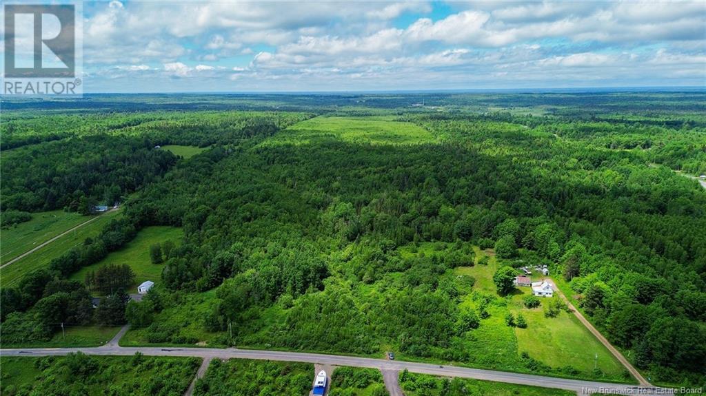 0 Lakeview Road, Coles Island, New Brunswick  O0O 0O0 - Photo 3 - NB101931