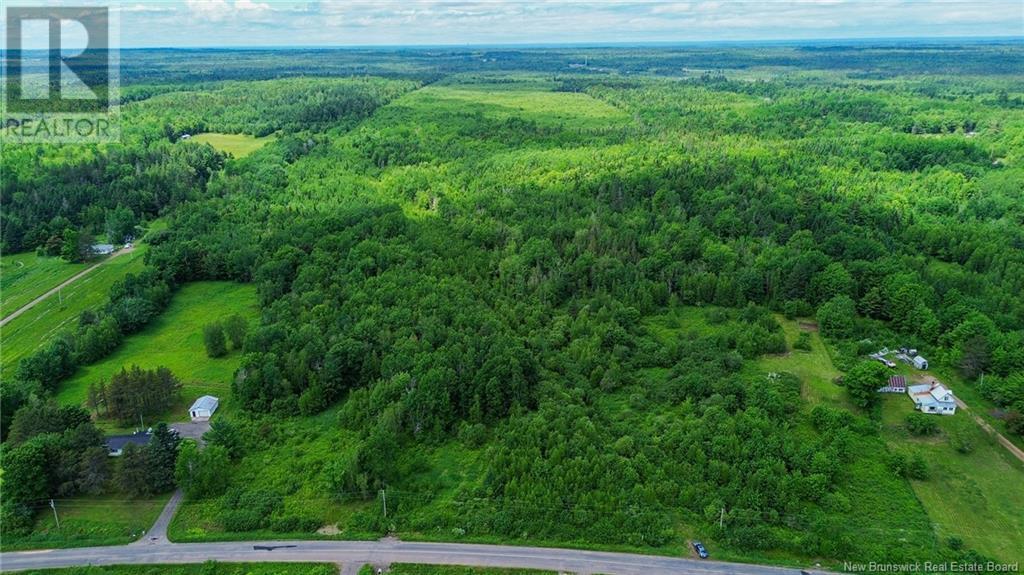 0 Lakeview Road, Coles Island, New Brunswick  O0O 0O0 - Photo 4 - NB101931