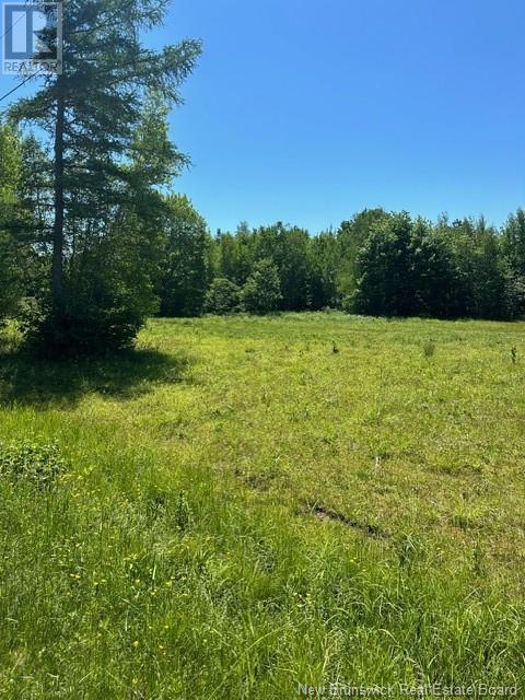 Lot Ridge Road, Chipman, New Brunswick  O0O 0O0 - Photo 2 - NB101948