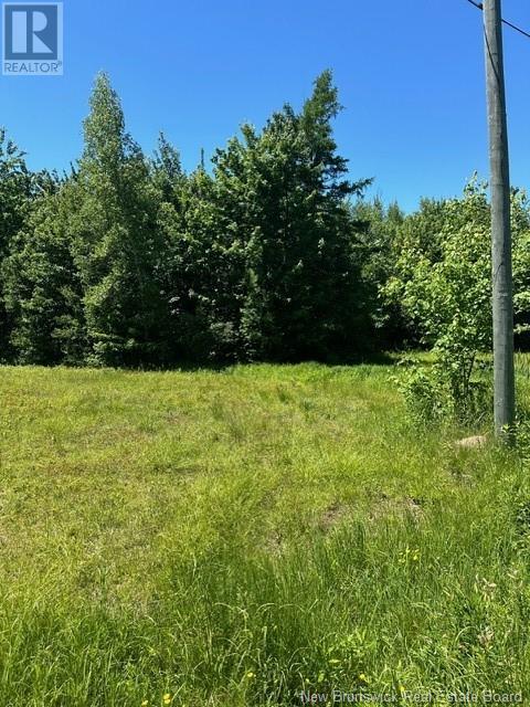 Lot Ridge Road, Chipman, New Brunswick  O0O 0O0 - Photo 3 - NB101948