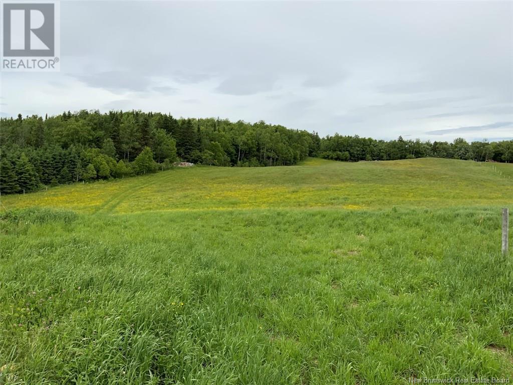 501 St-Michel Road, Saint-Jacques, New Brunswick  E7B 2H1 - Photo 19 - NB102046