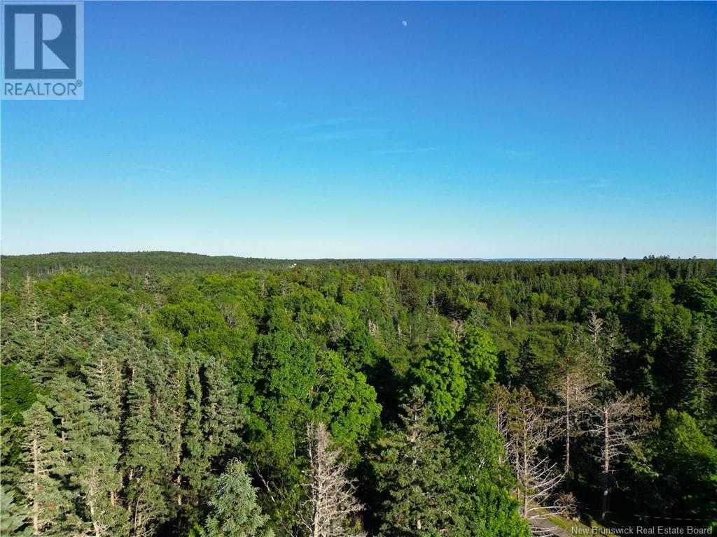 - Welshpool Back Road, Welshpool, New Brunswick  E5E 1G9 - Photo 12 - NB101967