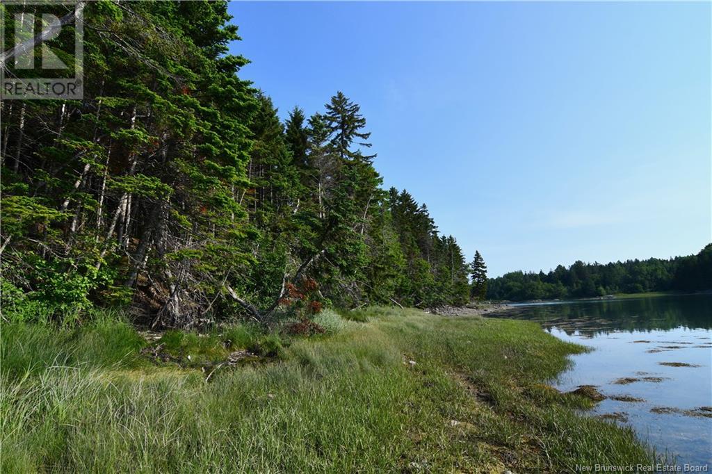 - Welshpool Back Road, Welshpool, New Brunswick  E5E 1G9 - Photo 3 - NB101967