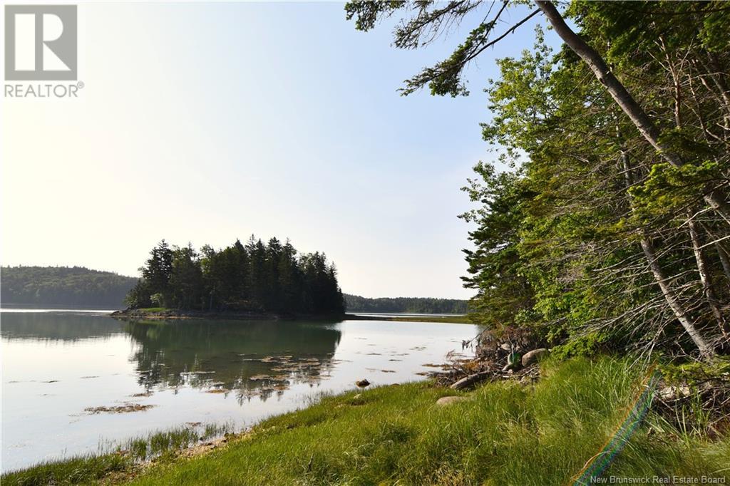 - Welshpool Back Road, Welshpool, New Brunswick  E5E 1G9 - Photo 4 - NB101967