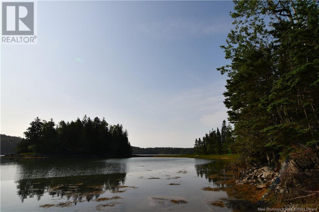 - Welshpool Back Road, Welshpool, New Brunswick  E5E 1G9 - Photo 6 - NB101967