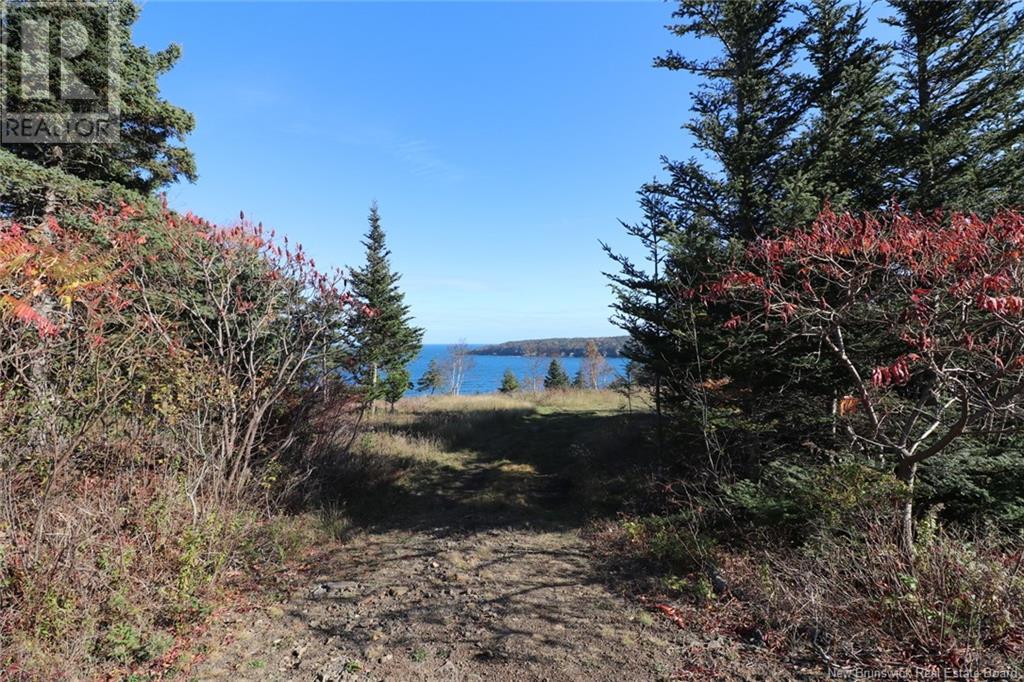 Lot 10-03 Golden Mile Drive, Grand Manan, New Brunswick  E5G 1N1 - Photo 17 - NB102070