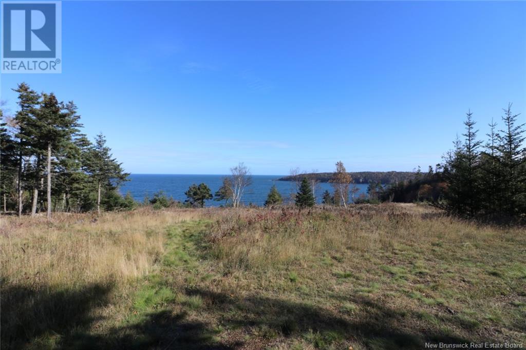 Lot 10-03 Golden Mile Drive, Grand Manan, New Brunswick  E5G 1N1 - Photo 26 - NB102070