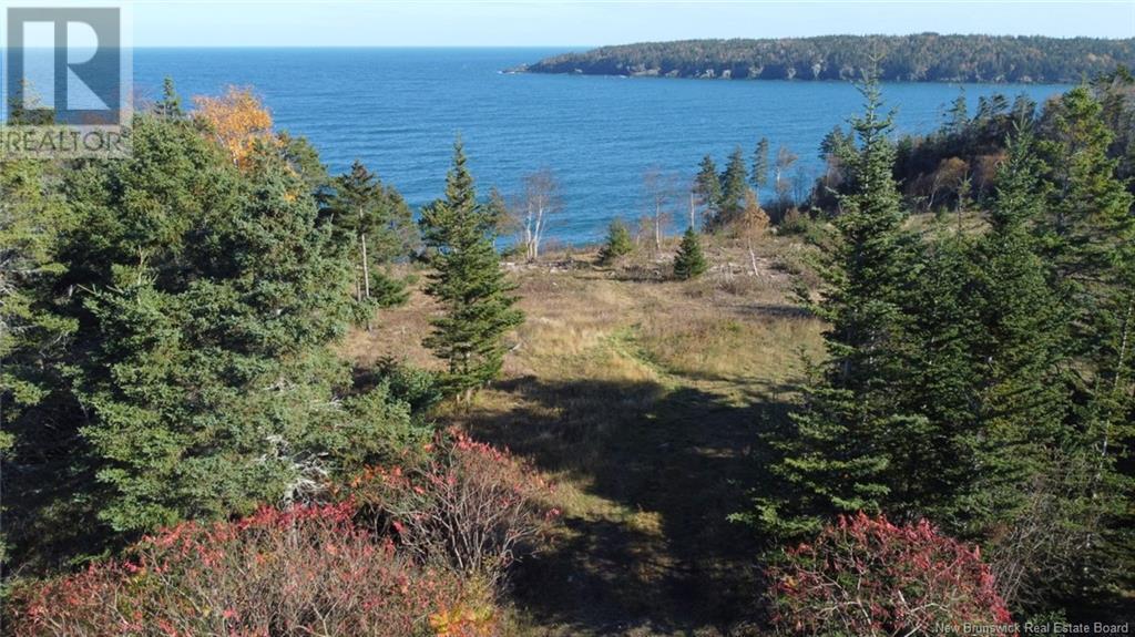 Lot 10-02 Golden Mile Drive, Grand Manan, New Brunswick  E5G 1N1 - Photo 10 - NB102064