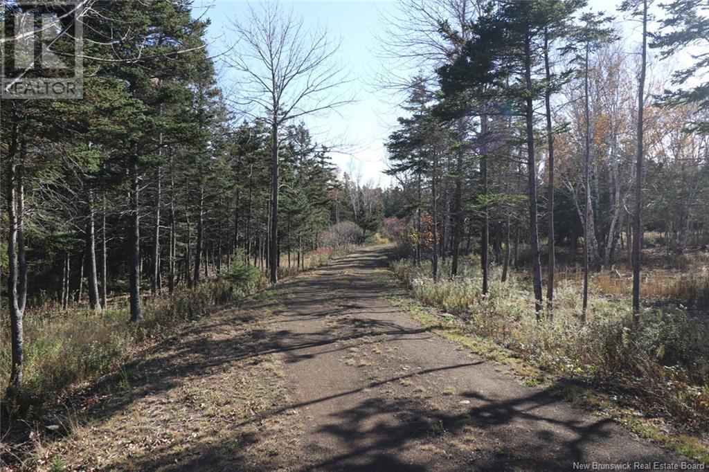 Lot 10-02 Golden Mile Drive, Grand Manan, New Brunswick  E5G 1N1 - Photo 16 - NB102064