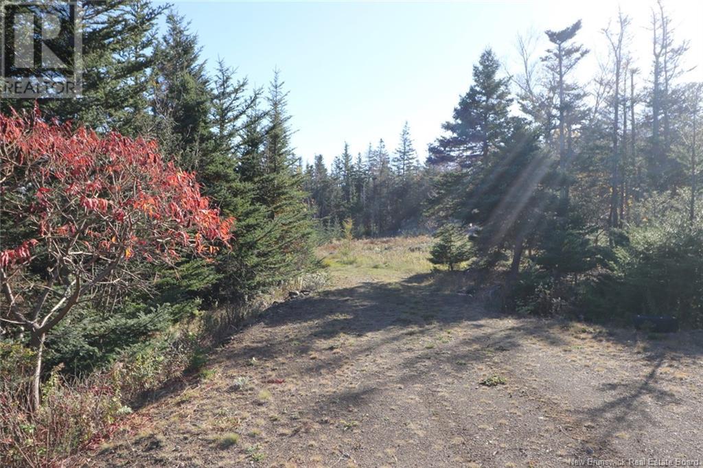 Lot 10-02 Golden Mile Drive, Grand Manan, New Brunswick  E5G 1N1 - Photo 21 - NB102064