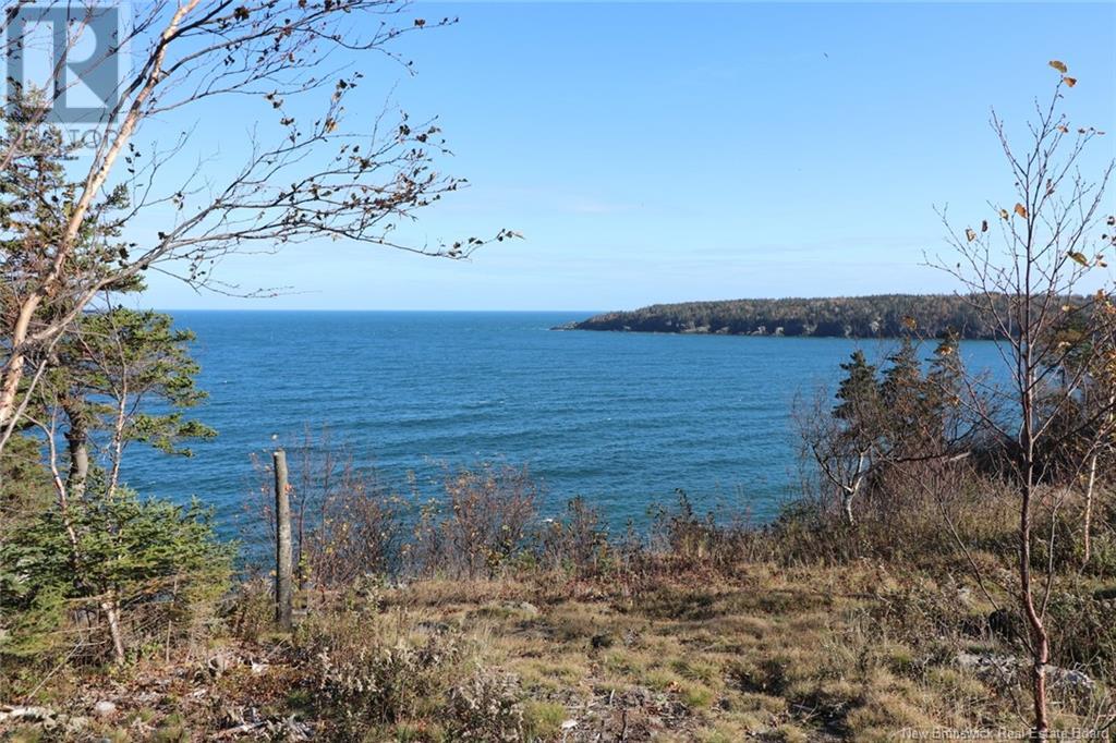 Lot 10-02 Golden Mile Drive, Grand Manan, New Brunswick  E5G 1N1 - Photo 27 - NB102064