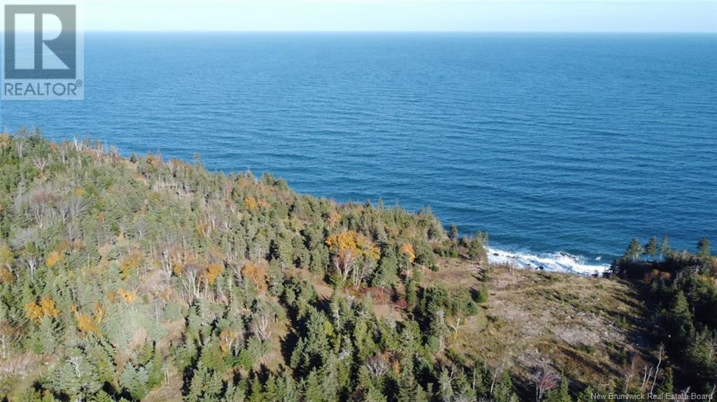 Lot 10-02 Golden Mile Drive, Grand Manan, New Brunswick  E5G 1N1 - Photo 7 - NB102064