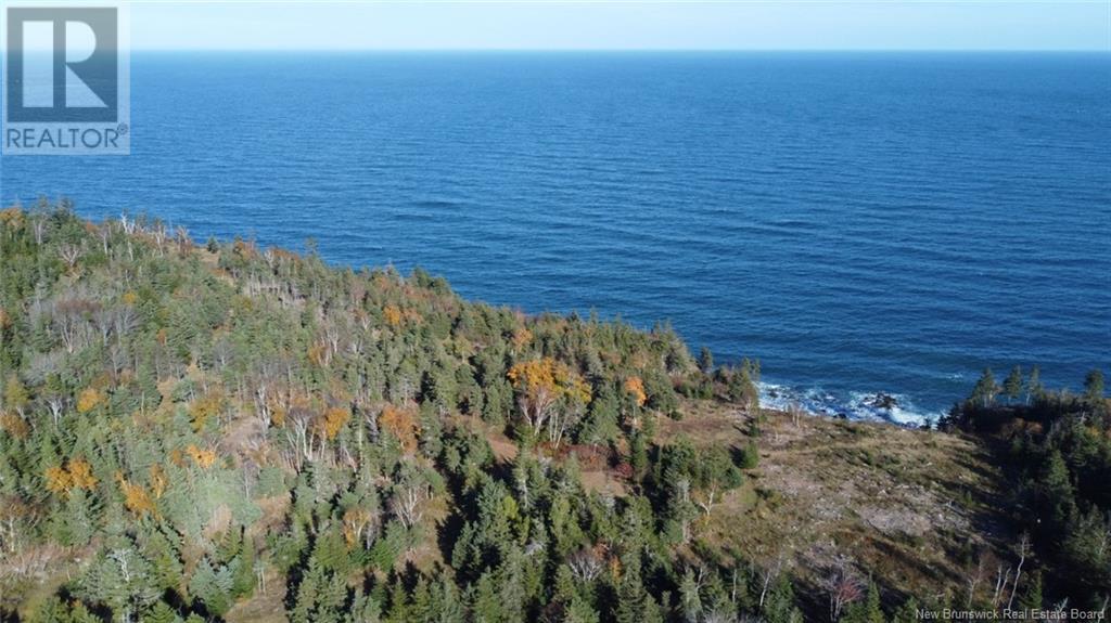 Lot 10-02 Golden Mile Drive, Grand Manan, New Brunswick  E5G 1N1 - Photo 8 - NB102064