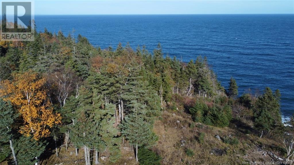 Lot 10-01 Golden Mile Drive, Grand Manan, New Brunswick  E5G 1N1 - Photo 12 - NB102061