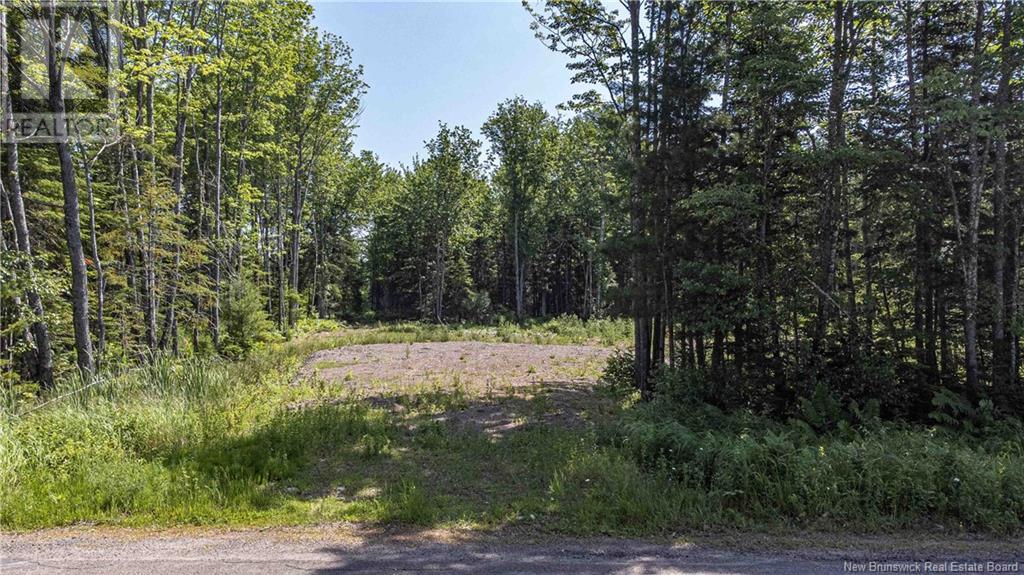 Lot 2019-1 Post Road, Rusagonis, New Brunswick  E3B 7Y2 - Photo 1 - NB102103