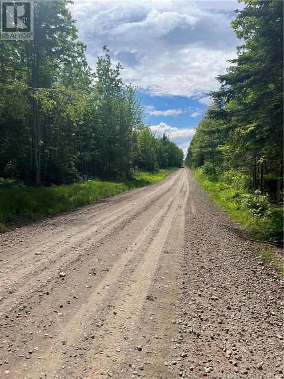 Lot 21-E Falconer, Macdougall Settlement, New Brunswick  E4V 1B3 - Photo 2 - M160384