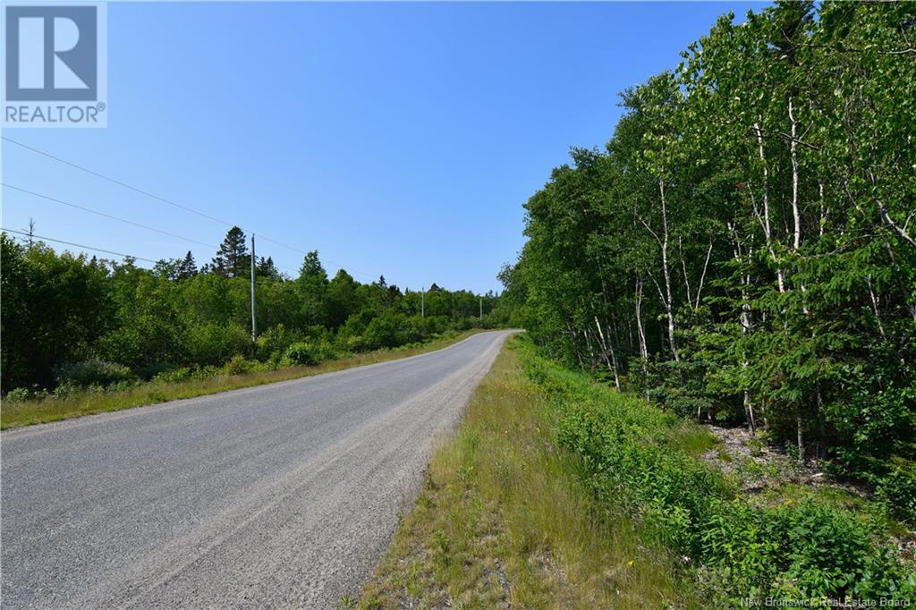 Lot 86-16 Fundy Drive, Wilsons Beach, New Brunswick  E5E 1X4 - Photo 10 - NB102092