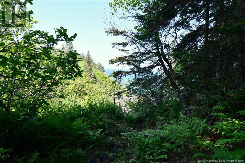 Lot 86-16 Fundy Drive, Wilsons Beach, New Brunswick  E5E 1X4 - Photo 8 - NB102092