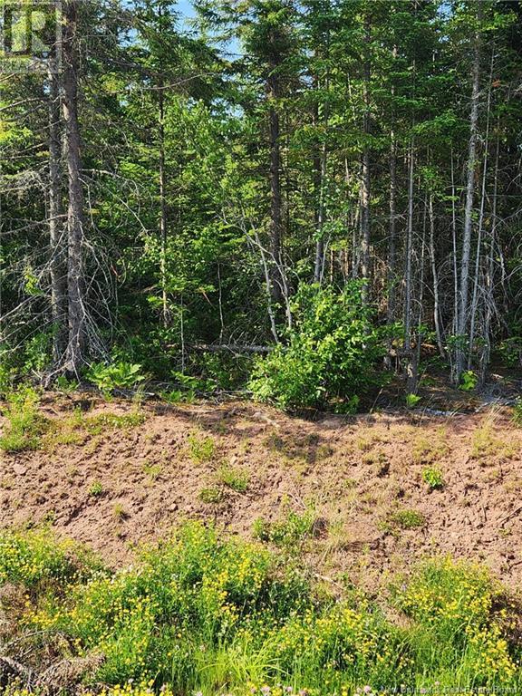 Lot 22-20 La Fontaine Extension Drive, Greater Lakeburn, New Brunswick  E1H 0C1 - Photo 1 - M160383